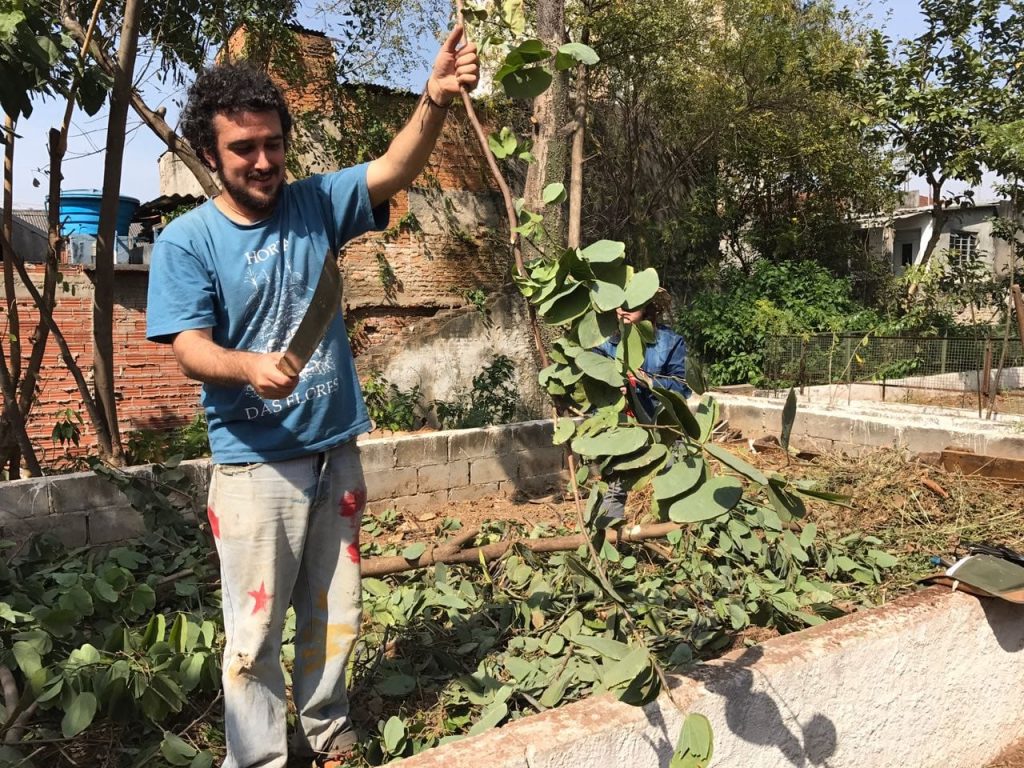 A agricultura urbana em São Paulo e Belo Horizonte: Uma proposta