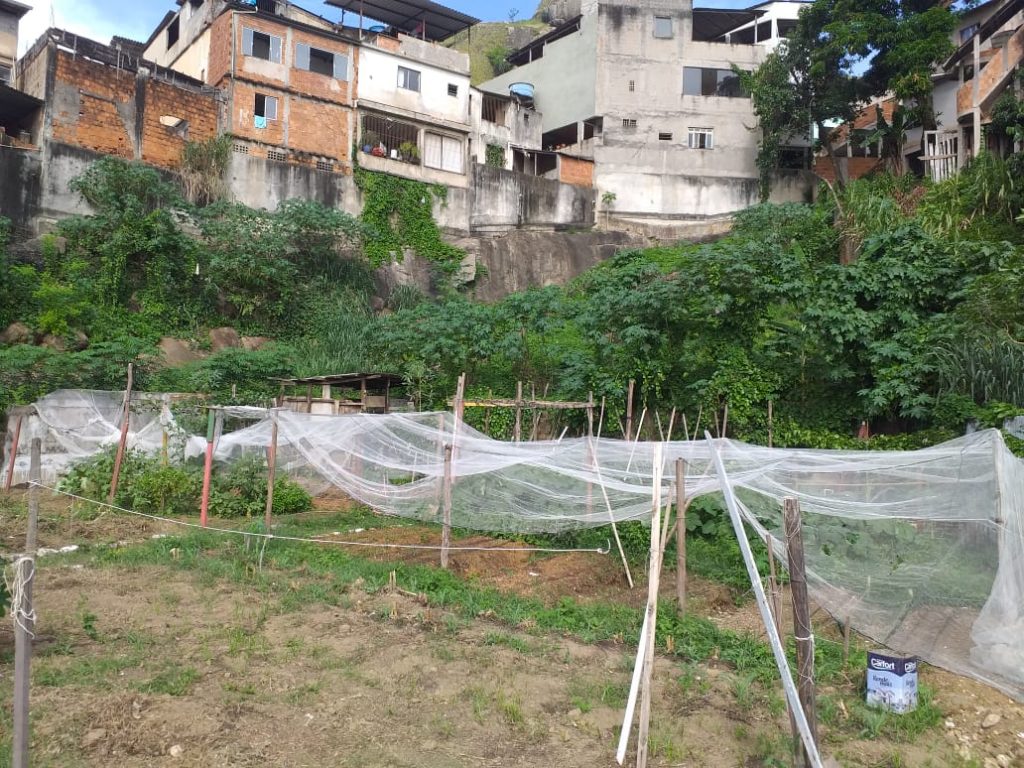 A agricultura urbana em São Paulo e Belo Horizonte: Uma proposta