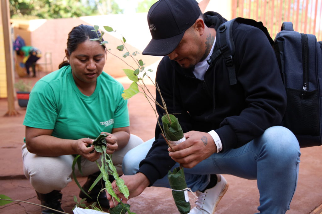 Mudas de plantas medicinais foram entregues pelos participantes da caravana à comunidade do Tekoha Ocoy, como forma de retribuição pela visita e fortalecimento dos vínculos. Foto: Ana Paula Soukef