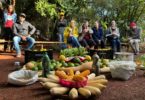A abundância de alimentos livres de veneno e sementes crioulas é um orgulho para os produtores do Assentamento 16 de Maio. Foto: Paula Vianna