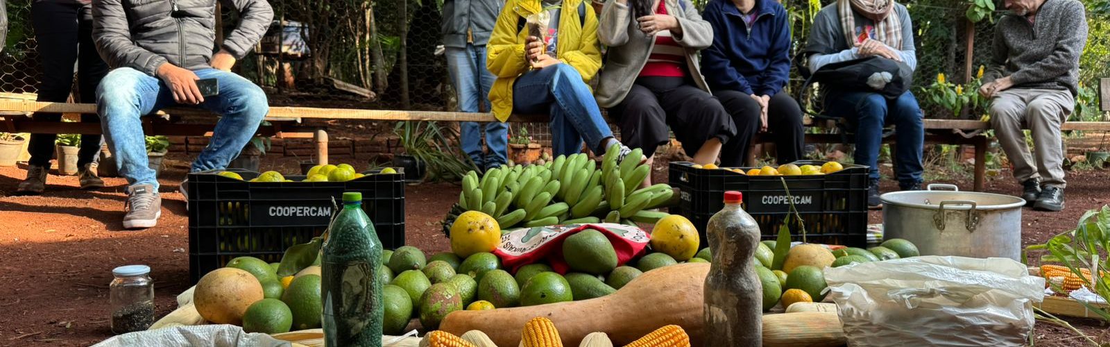 A abundância de alimentos livres de veneno e sementes crioulas é um orgulho para os produtores do Assentamento 16 de Maio. Foto: Paula Vianna