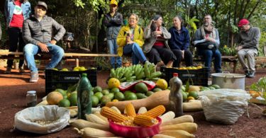 A abundância de alimentos livres de veneno e sementes crioulas é um orgulho para os produtores do Assentamento 16 de Maio. Foto: Paula Vianna