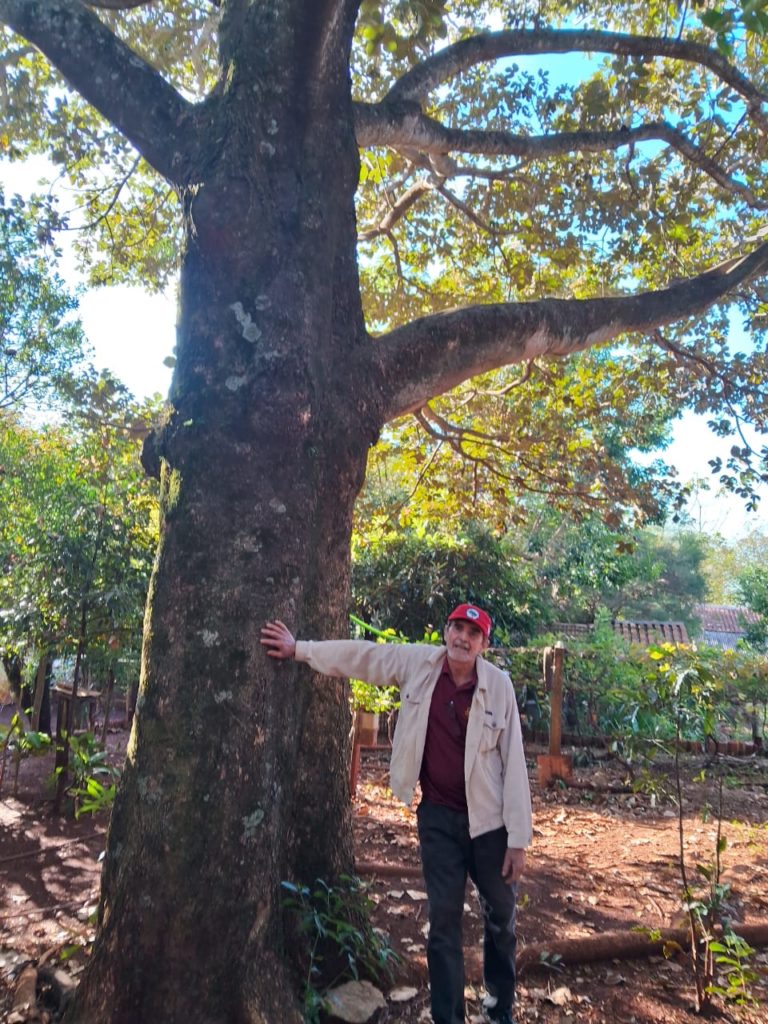 Selmiro Finkler e o orgulho de recuperar a biodiversidade de um terreno antes intoxicado pela plantação de fumo. Foto: Paula Vianna